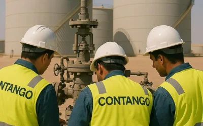 ANCHOR POINT with CONTANGO target oil and gas